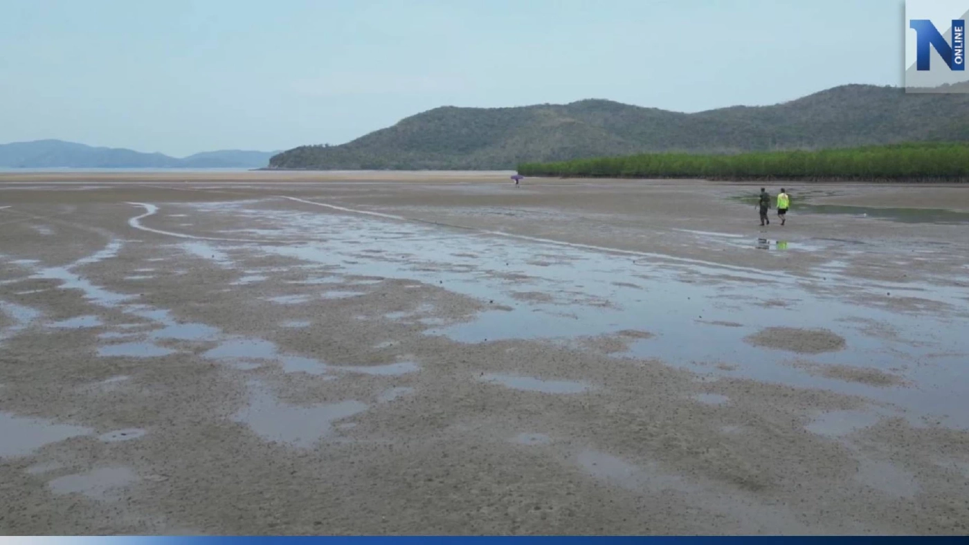 พบแล้ว ร่างลูกเรือประมง พลัดตกเรือจมทะเลสูญหาย เกยติดป่าโกงกางสัตหีบ พบแล้ว ร่างลูกเรือประมง พลัดตกเรือจมทะเลสูญหาย เกยติดป่าโกงกางสัตหีบ