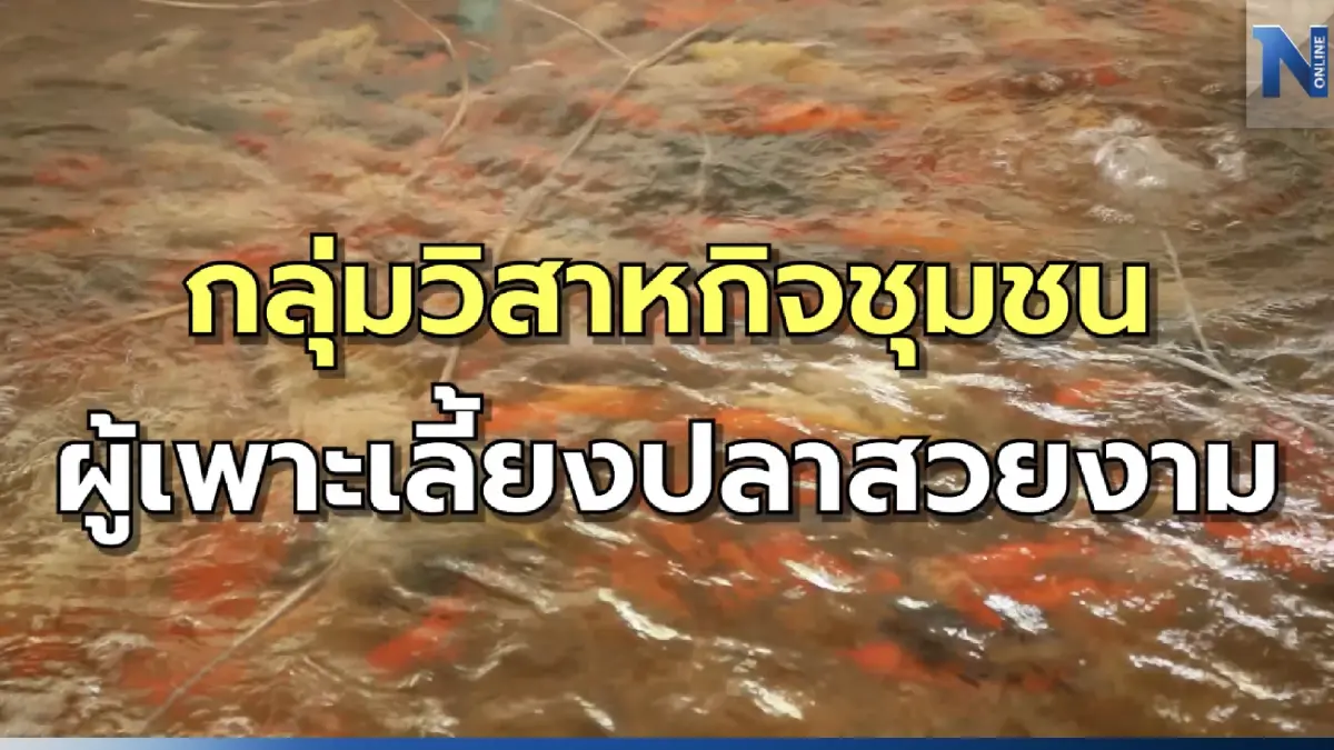 ตามล่าหา...ความจริง "เลี้ยงปลาคาร์ฟ" ยังไง ให้ได้ 40 ล้าน