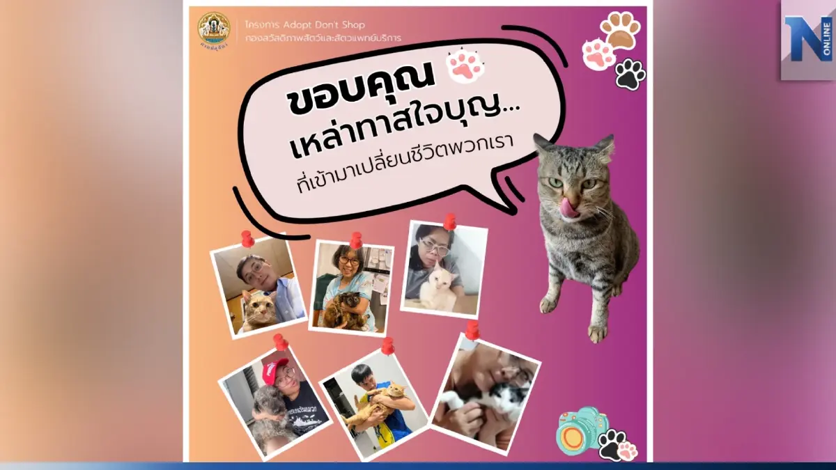 มอบชีวิตใหม่ให้น้องหมา-น้องแมวจร มาร่วมกันรับเลี้ยง เป็นบ้านที่อบอุ่น มอบชีวิตใหม่ให้น้องหมา-น้องแมวจร มาร่วมกันรับเลี้ยง เป็นบ้านที่อบอุ่น