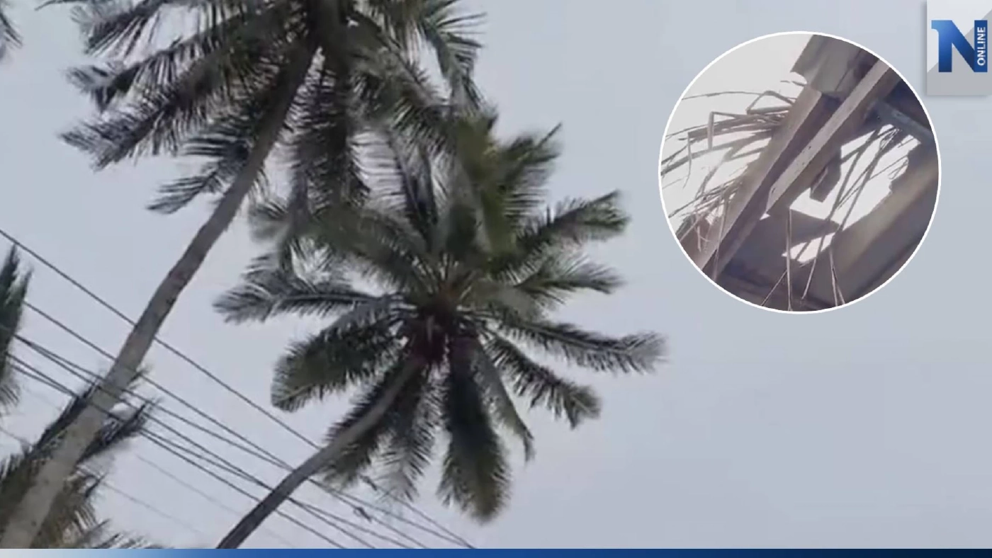 สาวร้อง มะพร้าวเพื่อนบ้านหล่นใส่หลังคาบ้าน พังเสียหายทุกเดือนนานมาหลายปี สาวร้อง มะพร้าวเพื่อนบ้านหล่นใส่หลังคาบ้าน พังเสียหายทุกเดือนนานมาหลายปี