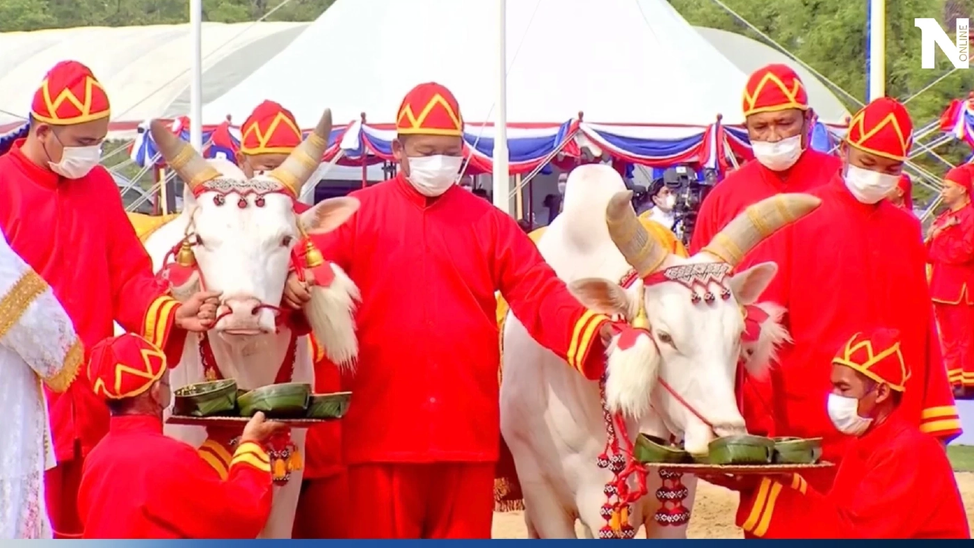 เปิดคำเสี่ยงทายผ้า และ "พระโค"กินเลี้ยง ในวันพืชมงคล 2566 เปิดคำเสี่ยงทายผ้า และ "พระโค"กินเลี้ยง ในวันพืชมงคล 2566