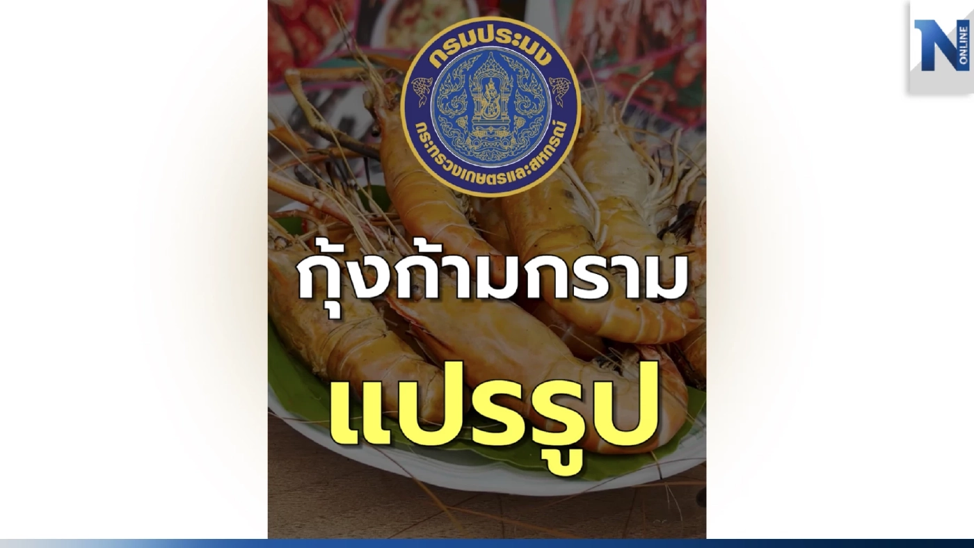 ตะลุยถิ่นประมงพื้นบ้าน จ.ราชบุรี  กุ้งก้ามกราม...แปรรูปเป็นอะไรได้บ้าง