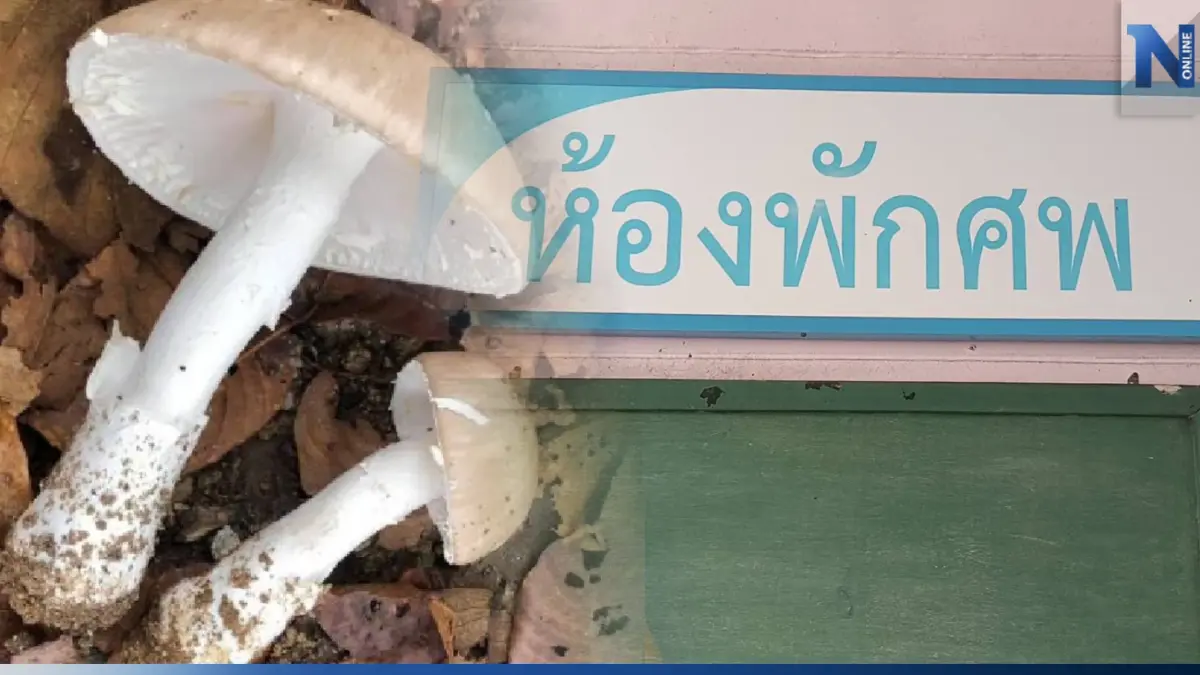 สลด! ดับอีก 1 ชาวบ้านเก็บ "เห็ดระโงก" มากิน แม้คุ้นชินกินทุกปี แต่สุดท้ายพลาด