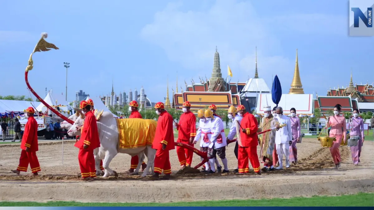 ขสมก. จัดรถเมล์ฟรี เส้นทาง “ท่าเรือท่าช้าง – ศาลฎีกา” รับส่งวันพืชมงคล ขสมก. จัดรถเมล์ฟรี เส้นทาง “ท่าเรือท่าช้าง – ศาลฎีกา” รับส่งวันพืชมงคล