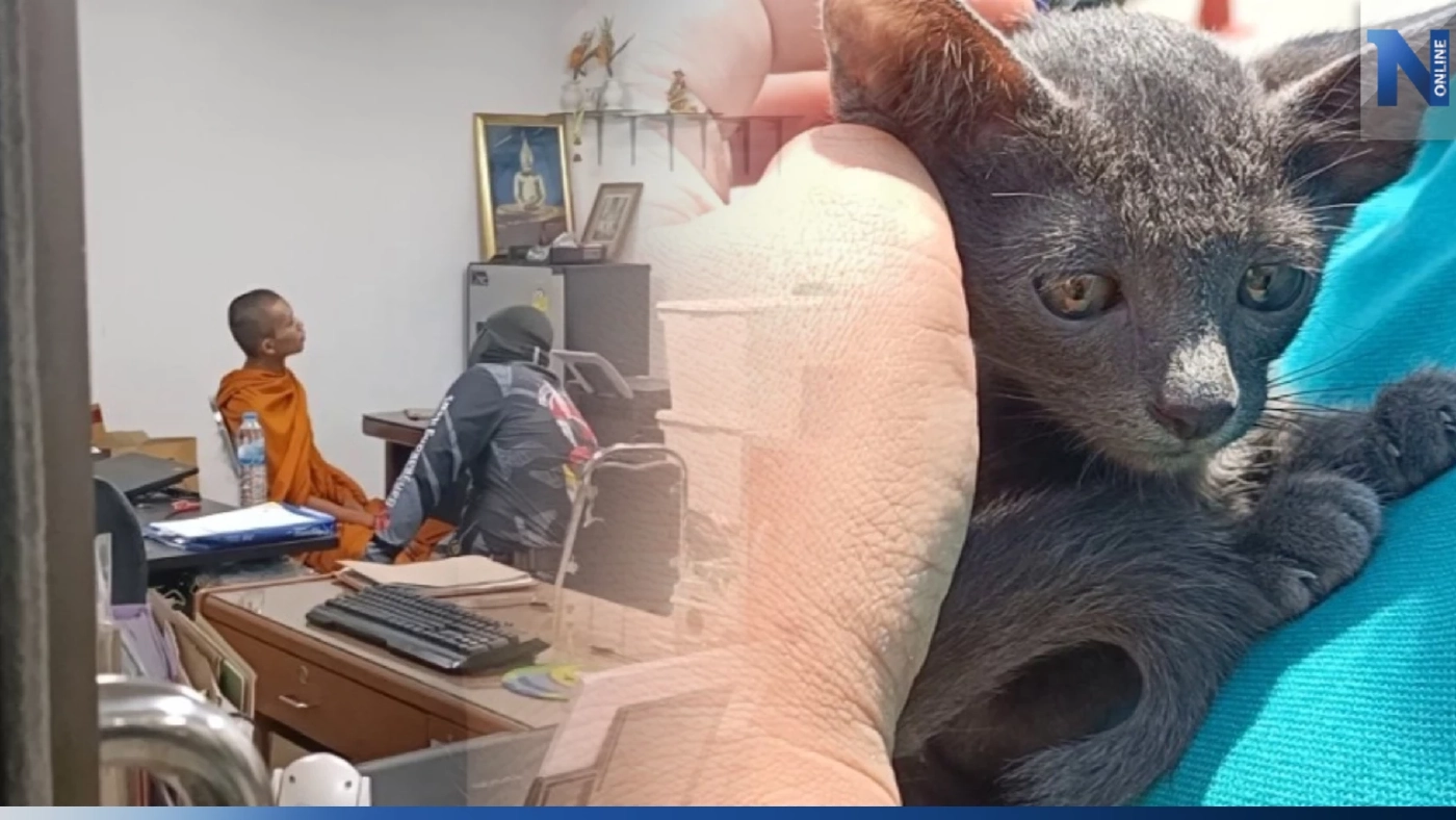 จับสึกพระทุบแมว นำซากเผาหลังกุฏิ ผงะพบกินแมว แถมมีน้ำกระท่อมเต็มตู้เย็น