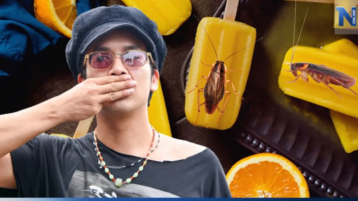 สื่อถึงอะไร "แอมมี่ เดอะบอตทอมบลูส์" โพสต์! ไอติมรสส้ม ขมเหมือน อมแมลงสาบ สื่อถึงอะไร "แอมมี่ เดอะบอตทอมบลูส์" โพสต์! ไอติมรสส้ม ขมเหมือน อมแมลงสาบ