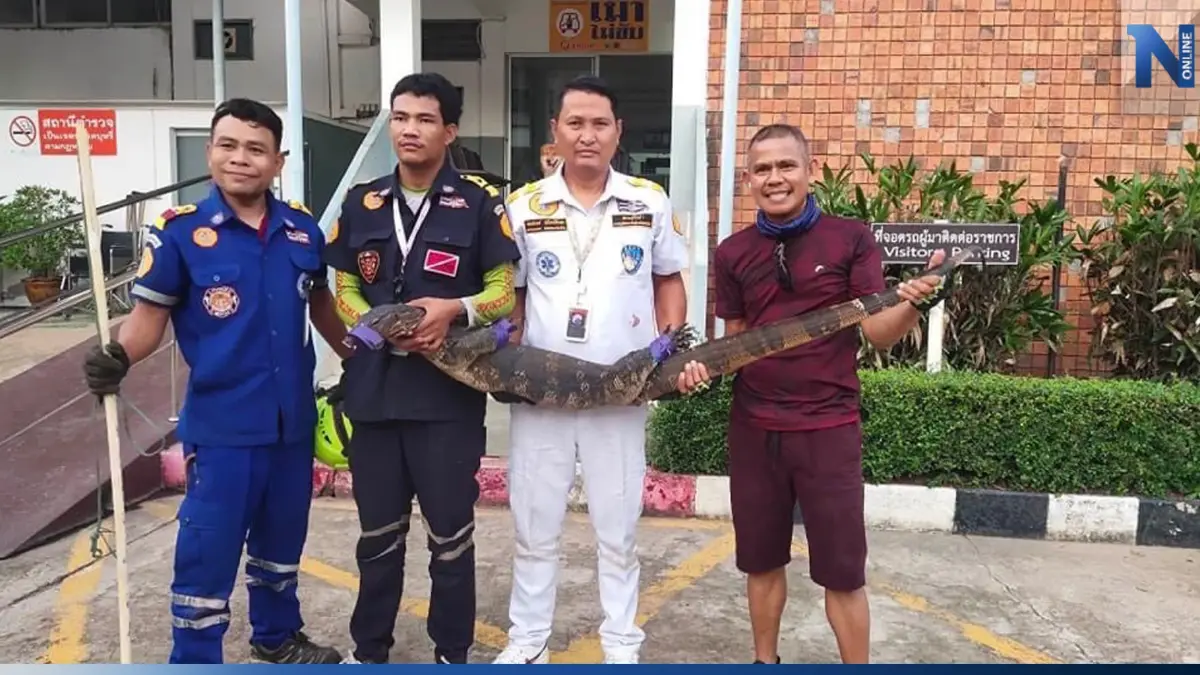 หนีกระเจิง! ตัวเฮียบุกโรงพัก มุดโต๊ะสิบเวร กู้ภัยฯ ช่วยจับทุลักทุเล