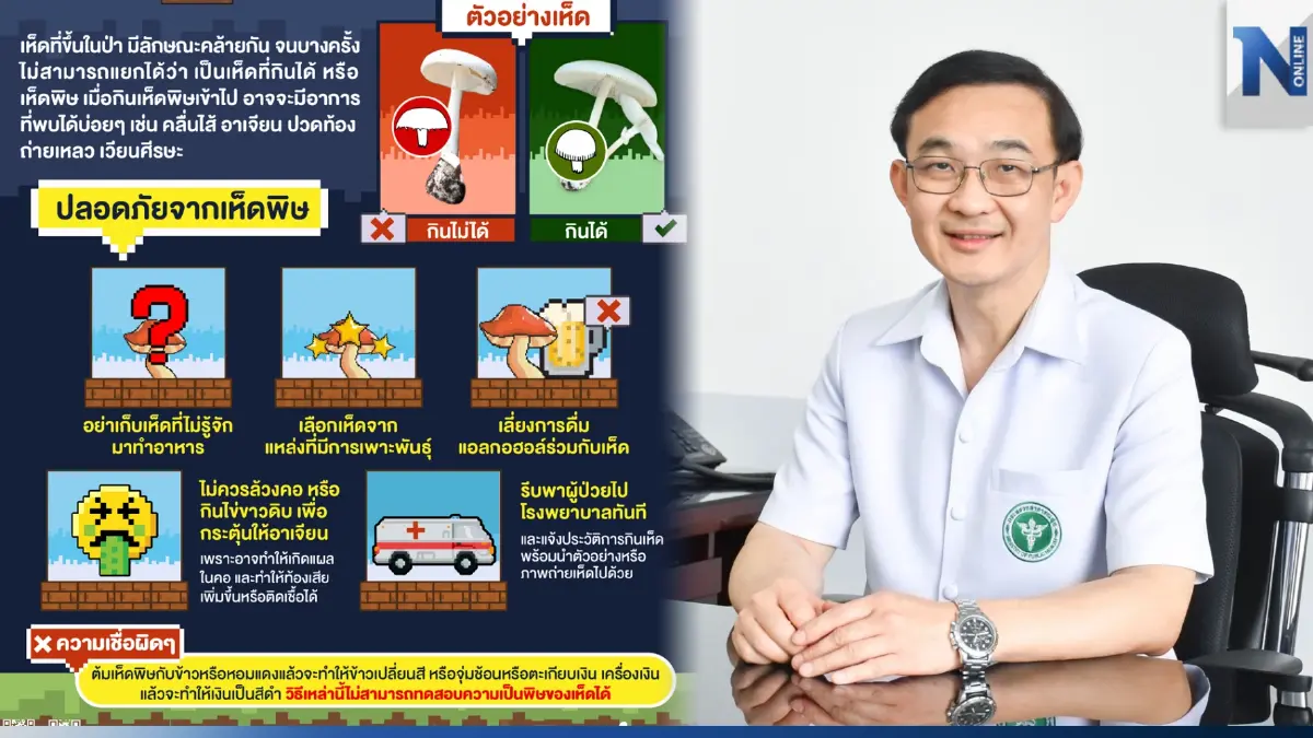 แพทย์เตือนหน้าฝน ระวังเก็บเห็ดพิษมาบริโภค เสี่ยงอันตรายถึงชีวิต