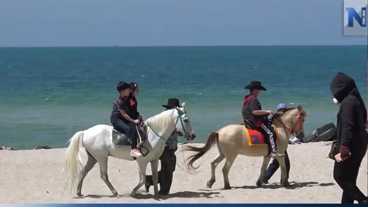'ม้าคาวบอย' ชายหาดสมิหลาฟีเวอร์! นักท่องเที่ยวแห่ใช้บริการ