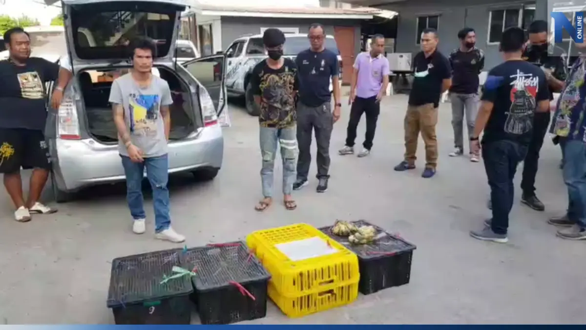 ตำรวจเพชรบุรี รวบขบวนการจับ "ลิง" ส่งขายเมืองจีน ทำยาอายุวัฒนะ ตำรวจเพชรบุรี รวบขบวนการจับ "ลิง" ส่งขายเมืองจีน ทำยาอายุวัฒนะ