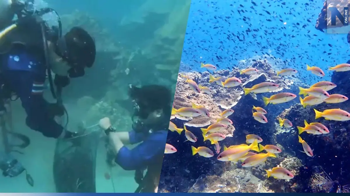 อช.หาดวนกร ติดตั้งทุ่นดักขยะ-เก็บซากอวนประมง ป้องกันแนวปะการัง อช.หาดวนกร ติดตั้งทุ่นดักขยะ-เก็บซากอวนประมง ป้องกันแนวปะการัง