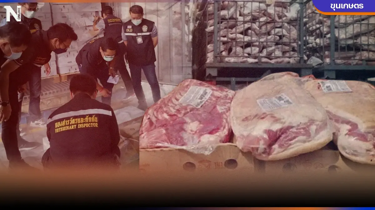 จับสัญญาณ"หมูเถื่อน" อยู่ๆก็สอบเสร็จ รวดเร็วดุจกามนิตหนุ่ม โดย "ขุนเกษตร" จับสัญญาณ"หมูเถื่อน" อยู่ๆก็สอบเสร็จ รวดเร็วดุจกามนิตหนุ่ม โดย "ขุนเกษตร"