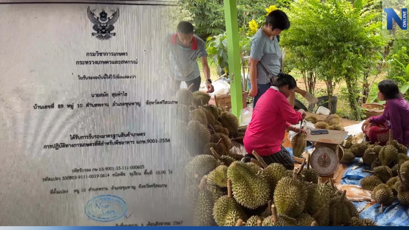 ต้องรู้!! ทุเรียนหนึ่งลูกส่งออกได้อย่างไร ภายใต้ข้อตกลงทางการค้าไทยจีน ต้องรู้!! ทุเรียนหนึ่งลูกส่งออกได้อย่างไร ภายใต้ข้อตกลงทางการค้าไทยจีน