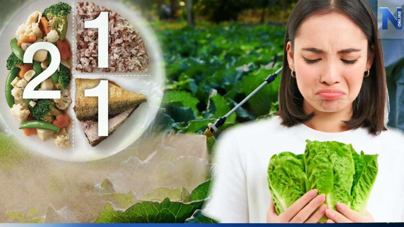 เคล็ดลับสุขภาพ : วิธีบอกลา 5 เหตุผลของคนไม่กินผัก