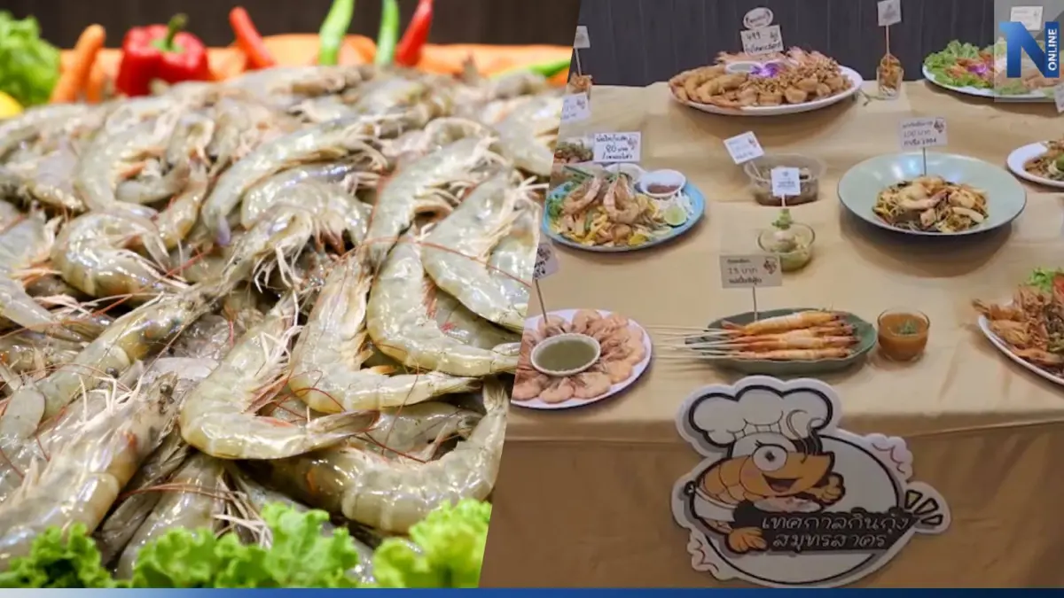 ชวนเที่ยวงาน "เทศกาลกินกุ้งสมุทรสาคร ครั้งที่ 3" ระหว่าง 22-25 มิ.ย.66 ชวนเที่ยวงาน "เทศกาลกินกุ้งสมุทรสาคร ครั้งที่ 3" ระหว่าง 22-25 มิ.ย.66