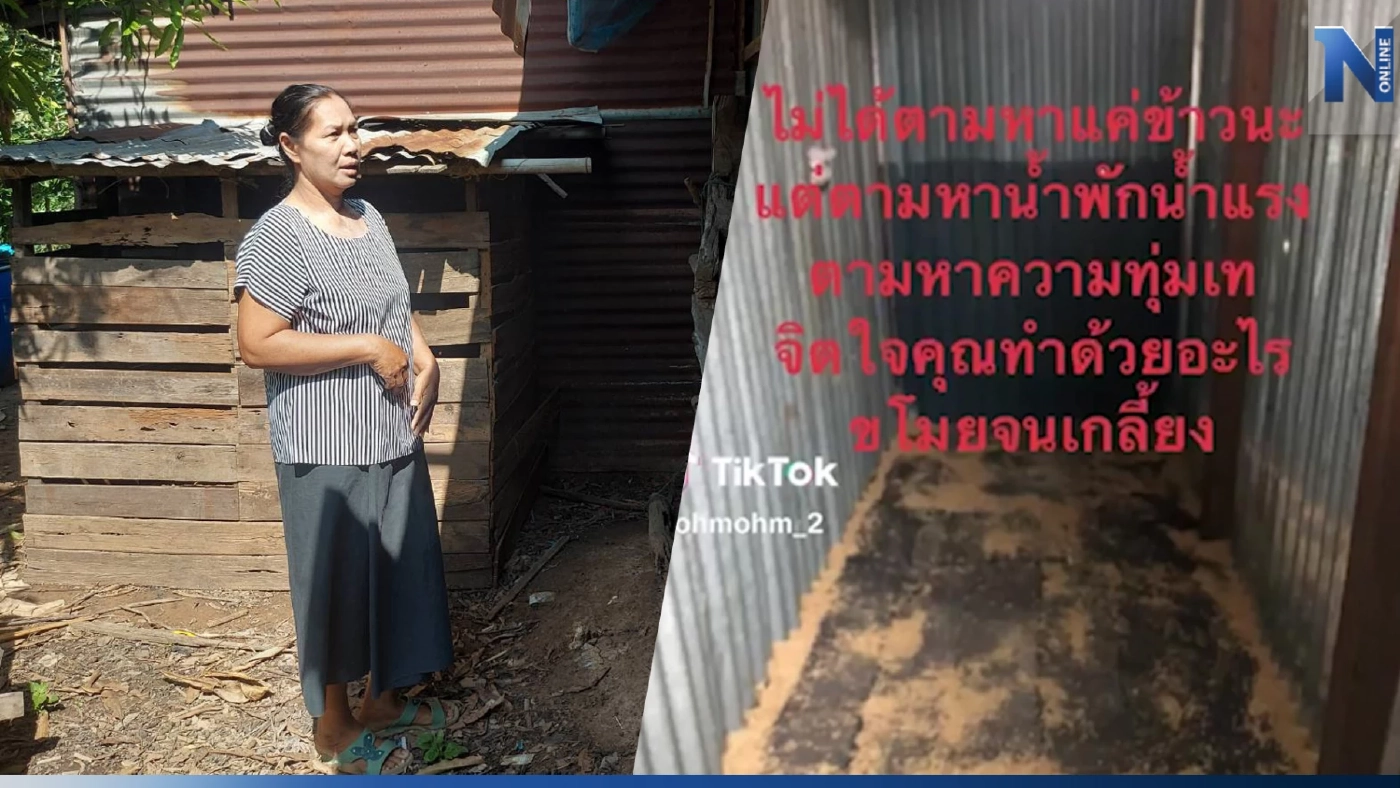 ทุกข์ชาวนา ครวญความเจ็บผ่าน"TikTok" โจรขโมยข้าวพันธุ์ทำนาเกลี้ยง (มีคลิป)