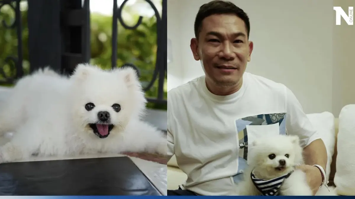 "เพลง ชนม์ทิดา" ลูกสาว "เอ๋ ชนม์สวัสดิ์" แจ้งข่าว ครอบครัวเจอความสูญเสียอีกครั้ง "เพลง ชนม์ทิดา" ลูกสาว "เอ๋ ชนม์สวัสดิ์" แจ้งข่าว ครอบครัวเจอความสูญเสียอีกครั้ง