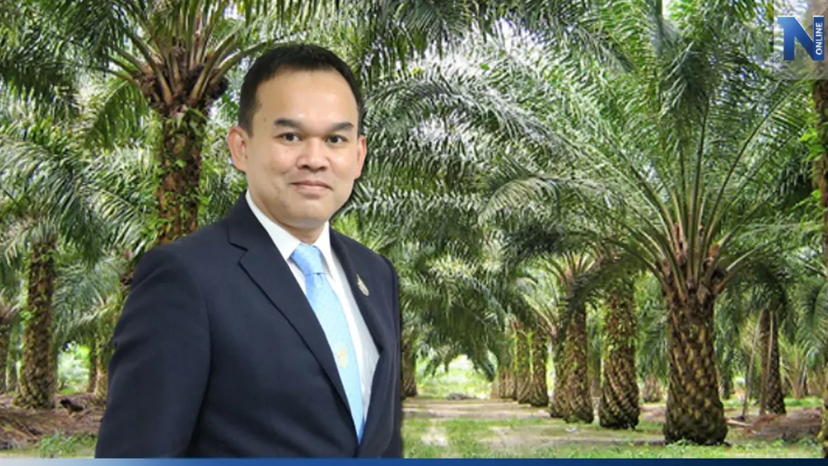 กนป.เตรียมหนุนส่งออก "น้ำมันปาล์ม" หลังผลผลิตโลกเพิ่ม
