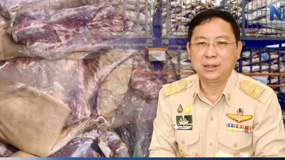 "ปศุสัตว์" ปัดไม่เกี่ยวข้องขบวนการนำเข้า"หมูเถื่อน" "ปศุสัตว์" ปัดไม่เกี่ยวข้องขบวนการนำเข้า"หมูเถื่อน"