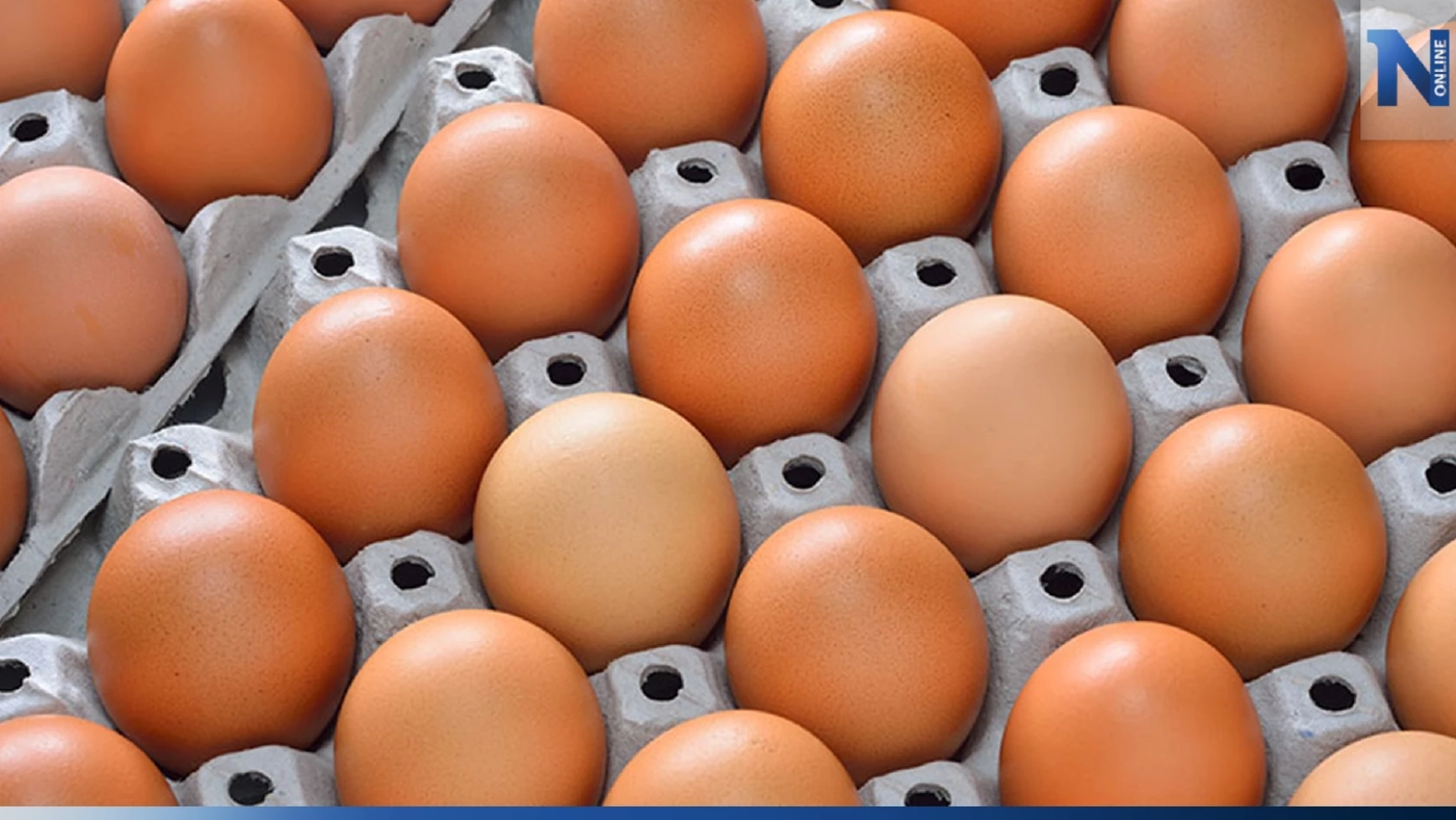 แม่ค้าโอดราคาไข่พุ่งสูงประวัติการณ์ทำยอดขายร่วง
