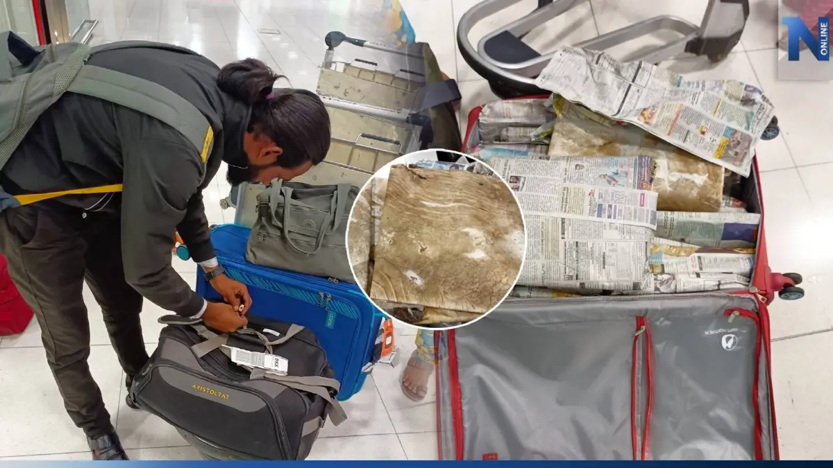 ด่านสุวรรณภูมิ จับชาวอินเดียลอบขนหนังโค และ เขี้ยวหมู รวม 200 กก. ด่านสุวรรณภูมิ จับชาวอินเดียลอบขนหนังโค และ เขี้ยวหมู รวม 200 กก.