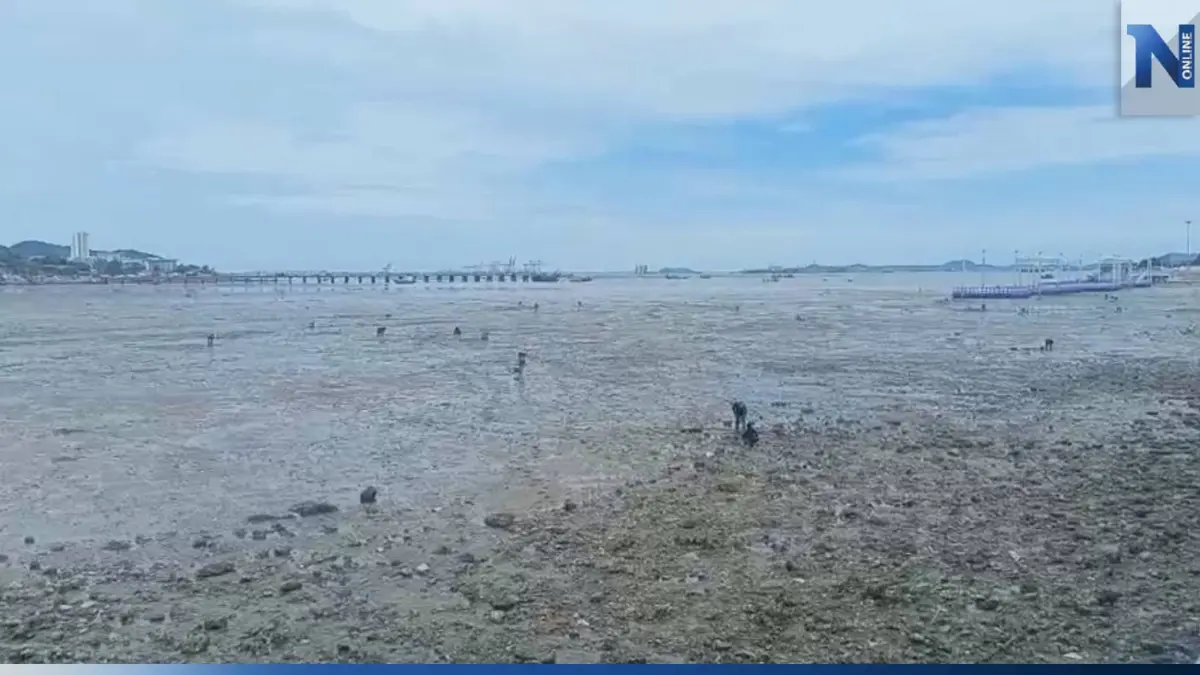 ชาวบ้านศรีราชา แห่เก็บหอยกระปุกริมชายทะเล ขายสร้างรายได้เสริม ชาวบ้านศรีราชา แห่เก็บหอยกระปุกริมชายทะเล ขายสร้างรายได้เสริม