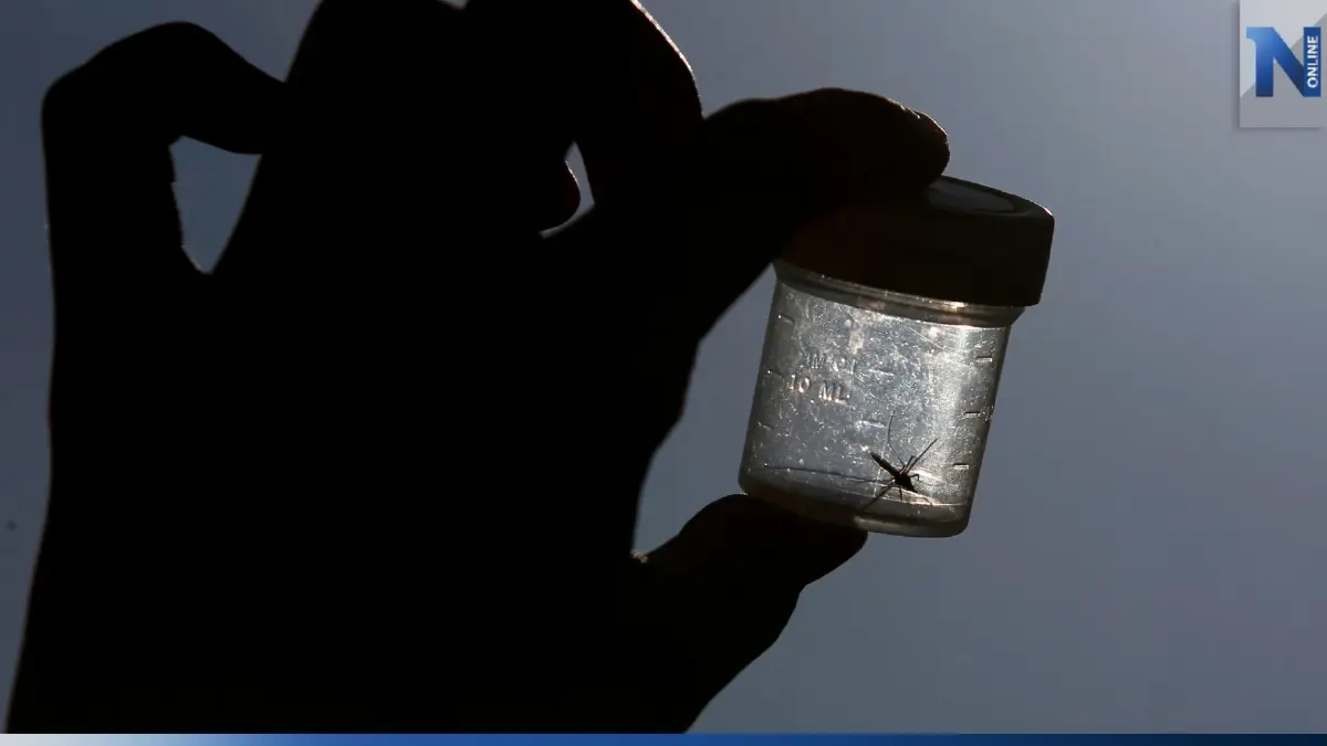 สหรัฐฯ พบมาลาเรียระบาดในชุมชนครั้งแรกใน 20 ปี สหรัฐฯ พบมาลาเรียระบาดในชุมชนครั้งแรกใน 20 ปี