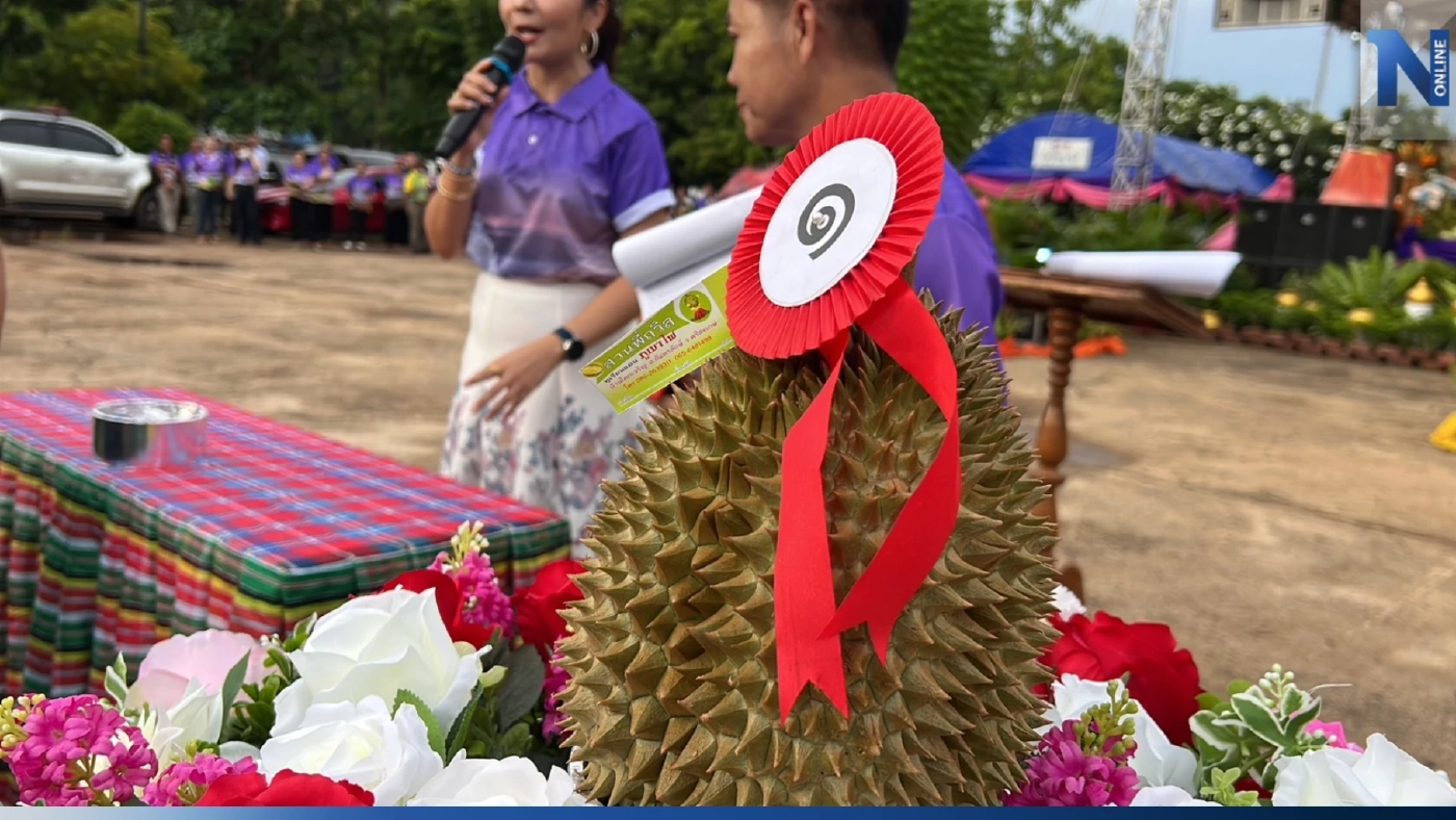 ฮือฮา! "ทุเรียนภูเขาไฟศรีสะเกษ" ปิดประมูลราคา ลูกละ 1 แสนบาท