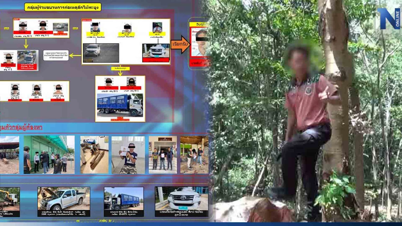 ที่แท้จัดฉากปล้น จับหัวหน้าสวนพฤกษศาสตร์ พัวพันแก๊งค้าไม้พะยูงข้ามชาติ