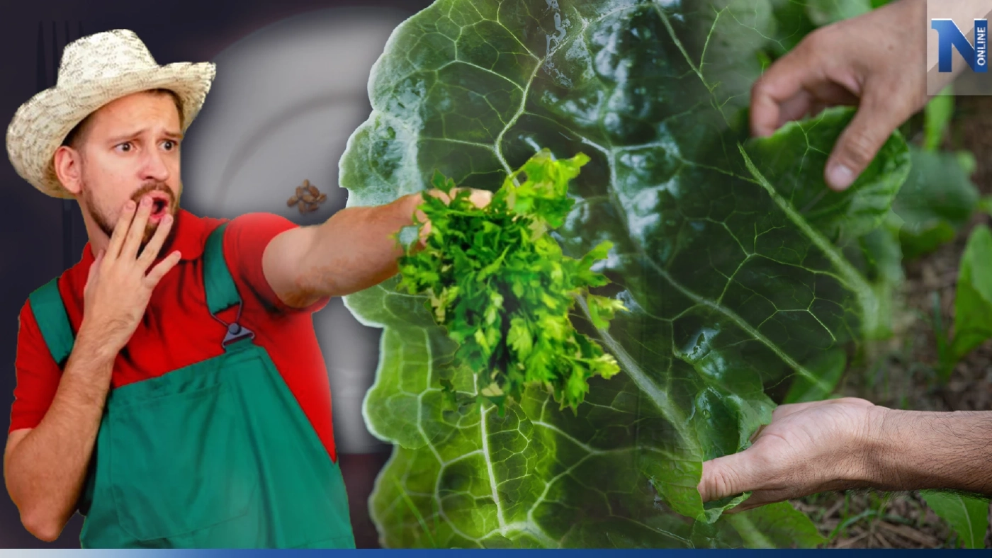 5 สารปนเปื้อนที่แฝงตัวในอาหารประจำวัน รู้ทันก็เลี่ยงได้!!