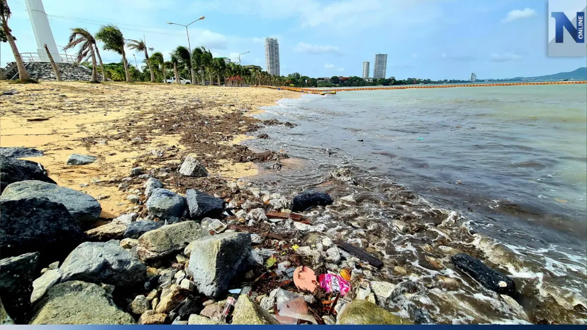 หดหู่ใจ! แหล่งท่องเที่ยว "หาดบ้านอำเภอ" น้ำทะเลดำ ขยะเกลื่อน สุดเสื่อมโทรม หดหู่ใจ! แหล่งท่องเที่ยว "หาดบ้านอำเภอ" น้ำทะเลดำ ขยะเกลื่อน สุดเสื่อมโทรม