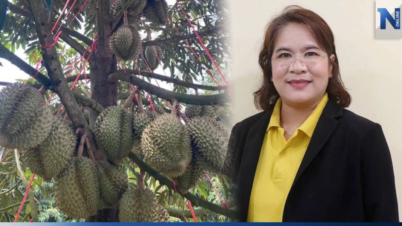 สศก.เผยผลผลิต ผลไม้ตะวันออก "ทุเรียน มังคุด เงาะ ลองกอง" ปีนี้ 1.05 ล้านตัน