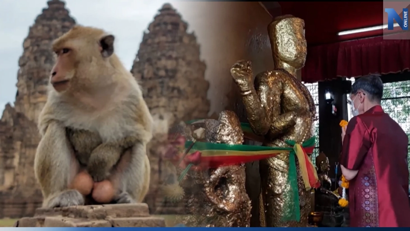 ลพบุรีเดินหน้าแก้ปัญหา "ลิง" ล้นเมือง ทำพิธีขอเจ้าพ่อศาลพระกาฬ ก่อนลุยงาน