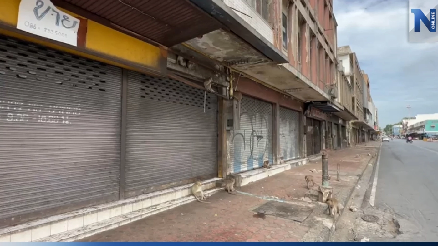 แชร์สนั่น! ลิงลพบุรีอาละวาดหนัก ทำตึกหน้าแถวศาลพระกาฬ กลายเป็นเมืองร้าง