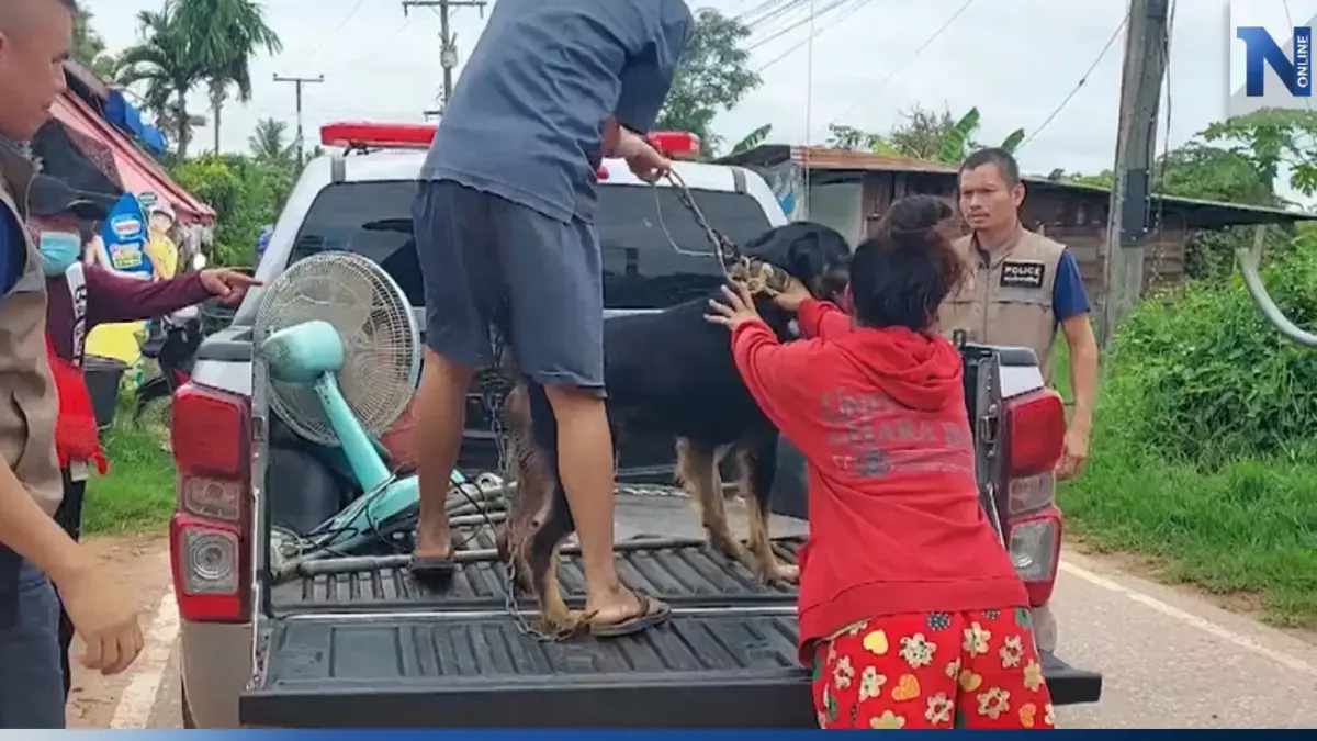 เมียสุดทน หอบลูก-หมาคู่ใจ หนีผัวติดยา หลังพี่สาวแจ้ง ตร.ช่วยพ้นขุมนรก เมียสุดทน หอบลูก-หมาคู่ใจ หนีผัวติดยา หลังพี่สาวแจ้ง ตร.ช่วยพ้นขุมนรก