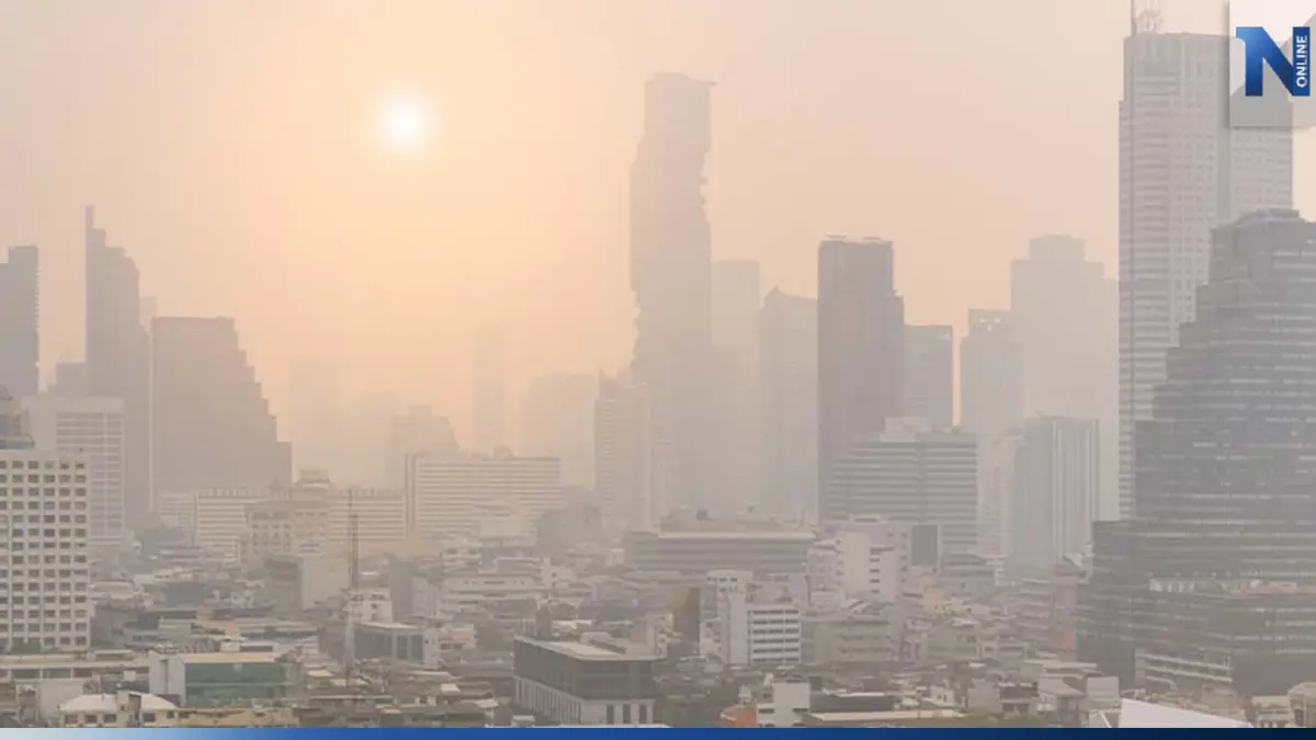 กรีนพีซฝากรัฐบาลใหม่ 6 นโยบายด้านสิ่งแวดล้อม
