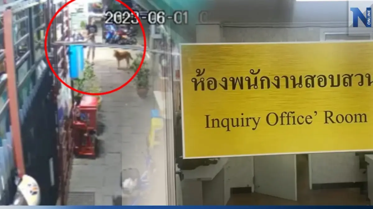 มอบตัวแล้ว "ทหารกร่าง" กลับมาคอนโดไม่มีที่จอดรถ ชักปืนยิงกว่า 10 นัด มอบตัวแล้ว "ทหารกร่าง" กลับมาคอนโดไม่มีที่จอดรถ ชักปืนยิงกว่า 10 นัด