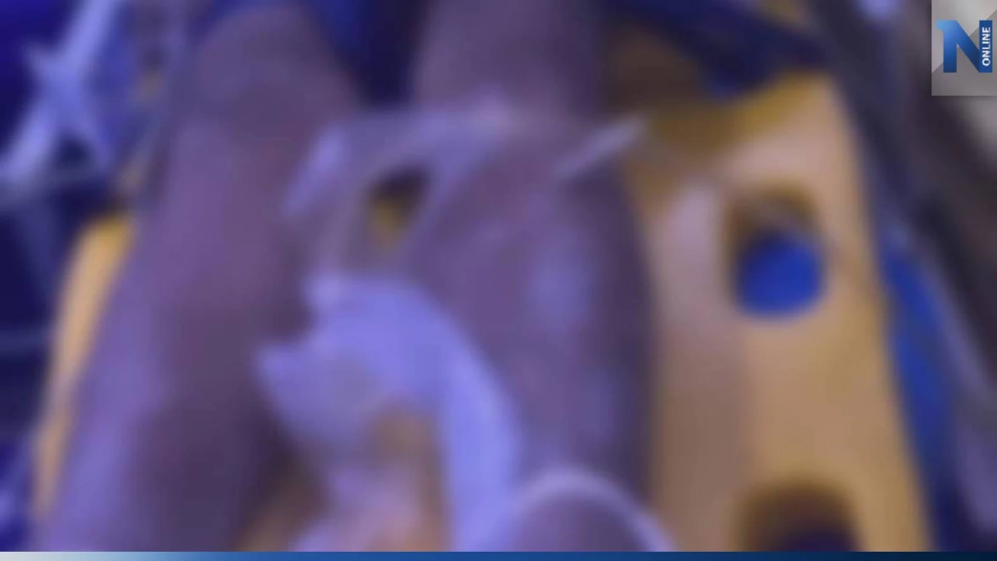 ม.2 นั่งตกปลากับเพื่อน เจอคนเมาชวนดื่มด้วย พอปฏิเสธถูกทำร้ายสาหัส ม.2 นั่งตกปลากับเพื่อน เจอคนเมาชวนดื่มด้วย พอปฏิเสธถูกทำร้ายสาหัส