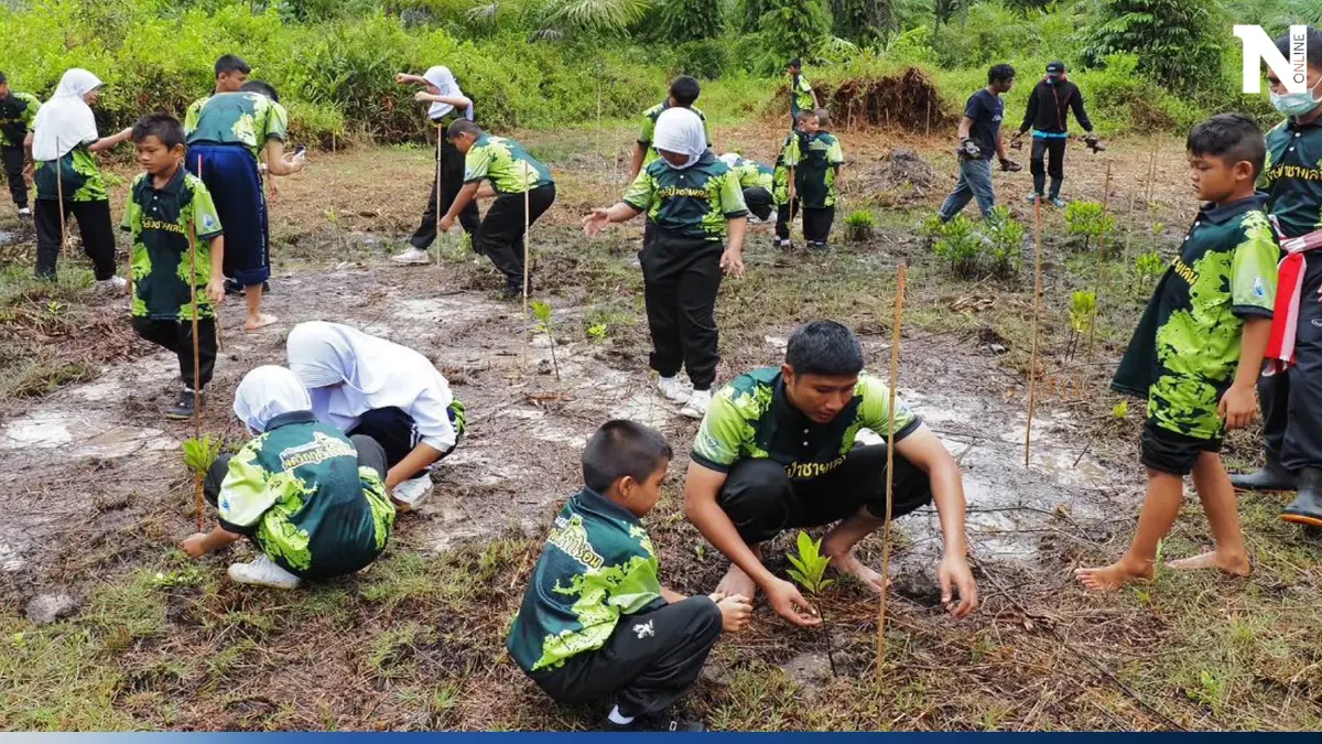 กรมทะเลฯ เตรียมเปิดโครงการคาร์บอนเครดิตป่าชายเลนรอบใหม่ สิงหานี้