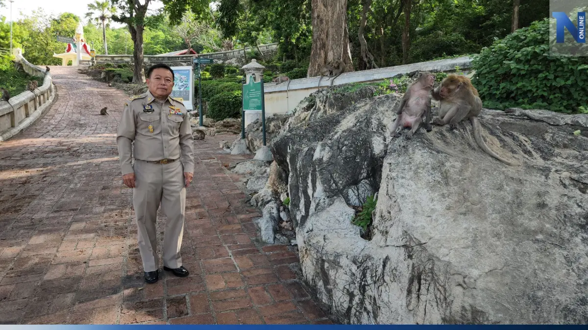ผู้ว่าฯ เพชรบุรี เตรียมเสนอ ทส. ปลดลิงแสม ออกจากสัตว์ป่าคุ้มครอง