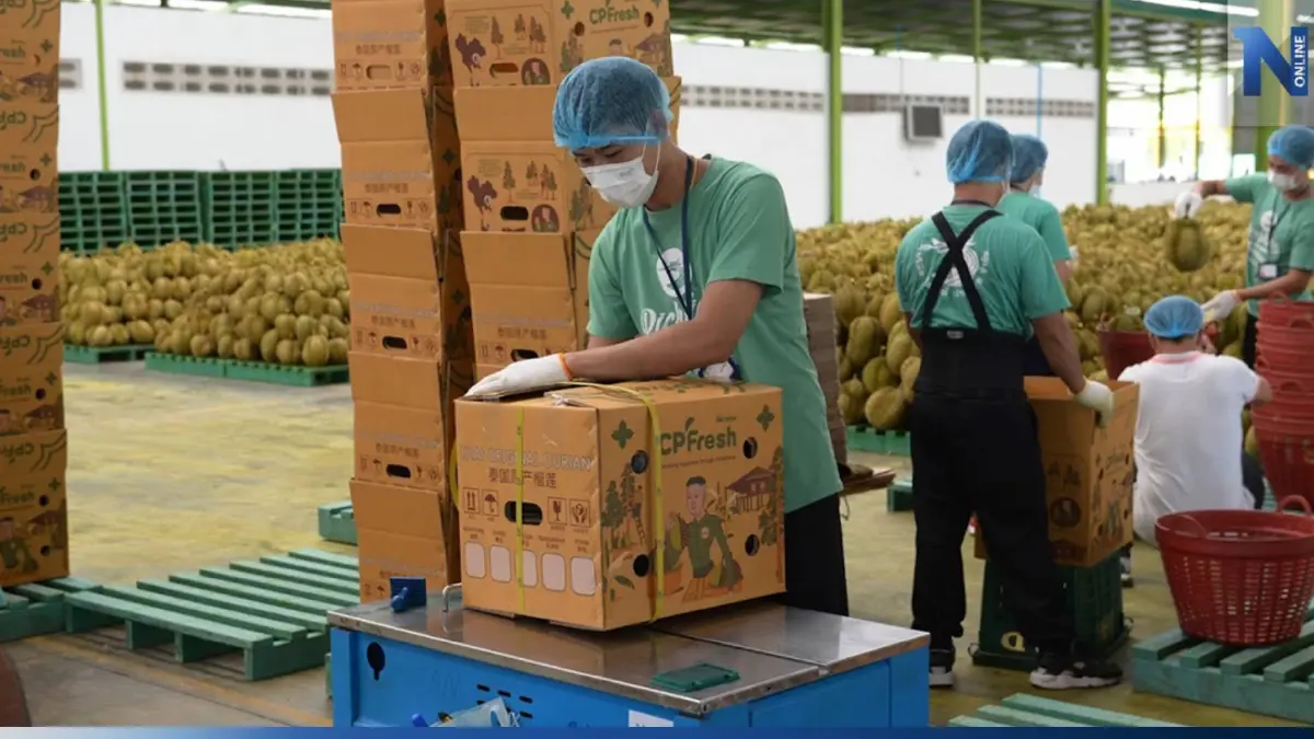 ส่งออกพุ่ง! ทุเรียนไทยแห่ใช้สิทธิ FTA ส่งออกจีน หนุนเศรษฐกิจไทยโต