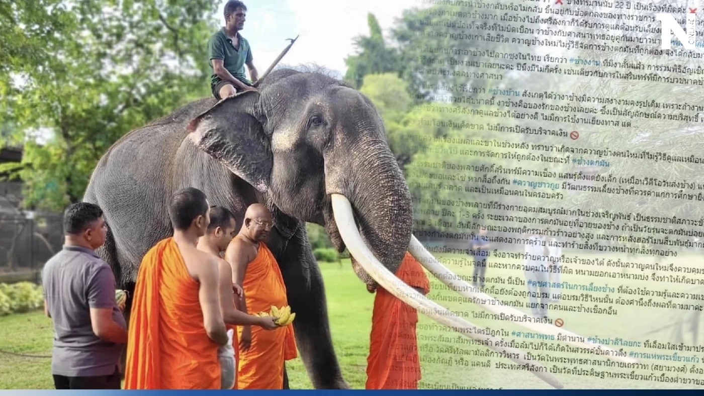 เจ้าของเก่าโพสต์แจง ดรามา "พลายศักดิ์สุรินทร์" ทรมานมากว่า 22 ปี !