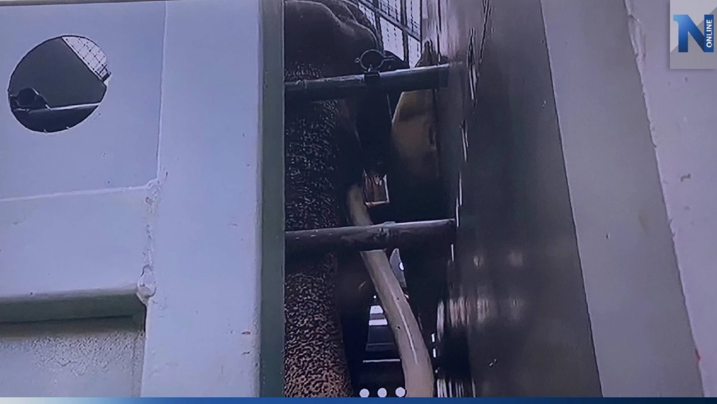 "พลายศักดิ์สุรินทร์" ถึงเชียงใหม่อย่างปลอดภัย