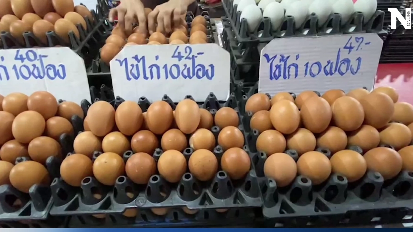 ผู้บริโภคอ่วม ราคาไข่ไก่ปรับขึ้นฟองละ 20 สตางค์ทุกเบอร์ หวั่นราคาอาหารพุ่ง