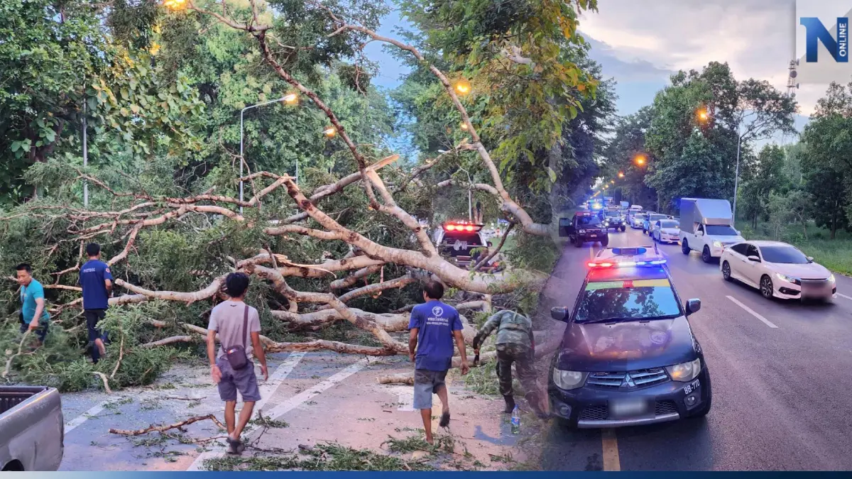 ฝนตกหนัก ลมกระโชกแรง ต้นไม้โค่นขวางถนน 304 โคราช รถติดยาวเหยียด ฝนตกหนัก ลมกระโชกแรง ต้นไม้โค่นขวางถนน 304 โคราช รถติดยาวเหยียด