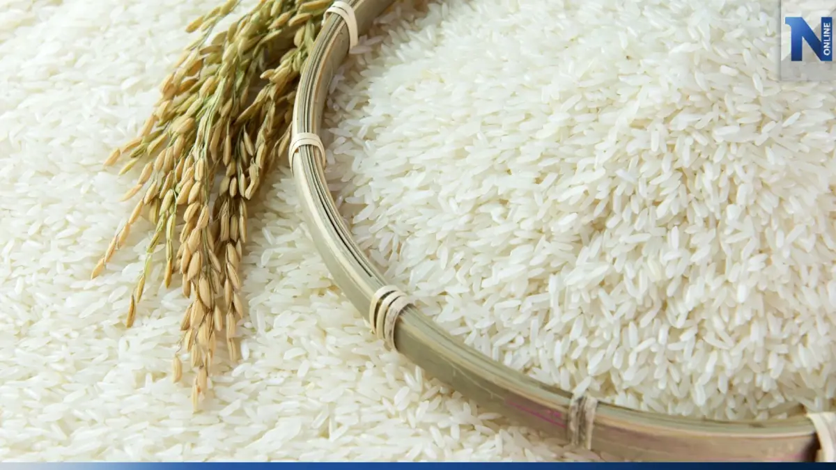 อินเดียงดส่งออกข้าว ทำตลาดป่วน ส่งผลข้าวไทยอาจปรับราคาขึ้นอีก 10%