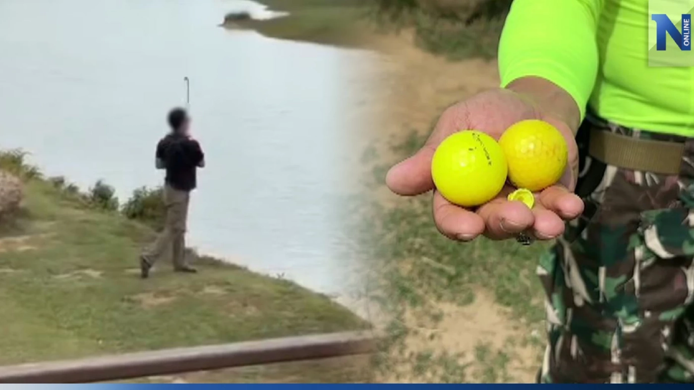 เจอแล้ว! ลูกกอล์ฟลอยตกน้ำ-ในป่า ริมอ่างเก็บน้ำสายศร ชี้ อันตรายกับสัตว์ป่า