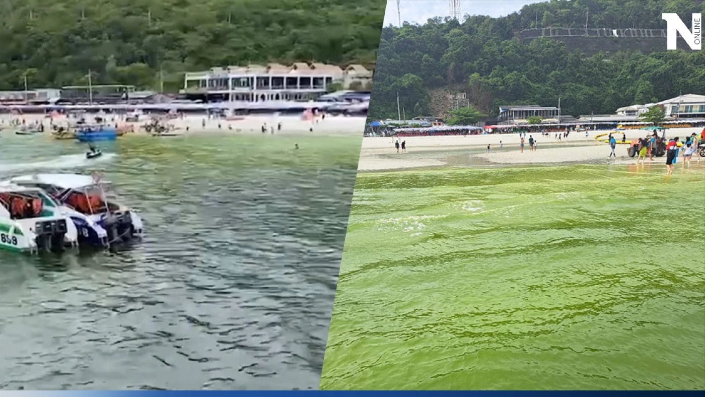 "แพลงก์ตอนบลูม" น้ำทะเลเกาะล้าน เป็นสีเขียว เผยปรากฎการณ์ปรกติช่วงต้นฝน