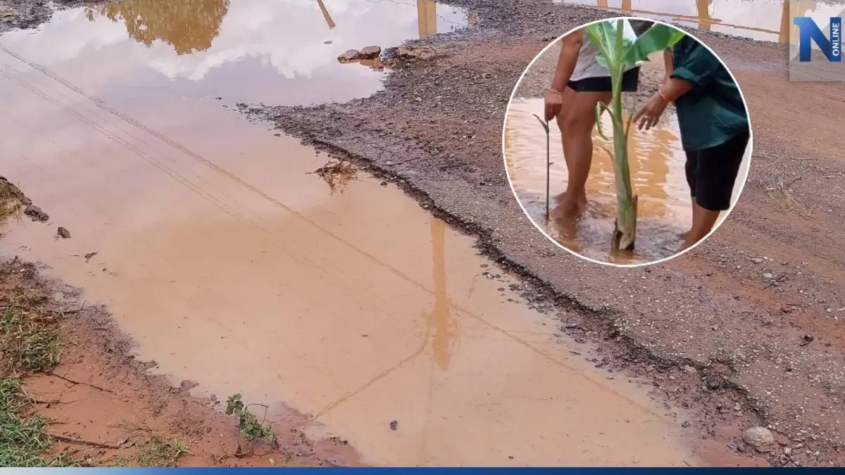 ชาวบ้านอำเภอบัวใหญ่สุดทน ปลูกต้นกล้วยประชดถนนพัง วอนรัฐเร่งซ่อม ชาวบ้านอำเภอบัวใหญ่สุดทน ปลูกต้นกล้วยประชดถนนพัง วอนรัฐเร่งซ่อม