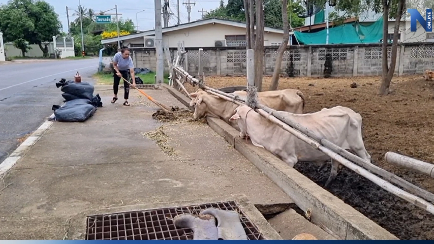 ญาติช็อก "เสี่ยโก้" ถูกยิงถล่มจนดับ เตรียมนำร่างทำพิธีศพที่วัดบ้านสิงห์ ญาติช็อก "เสี่ยโก้" ถูกยิงถล่มจนดับ เตรียมนำร่างทำพิธีศพที่วัดบ้านสิงห์